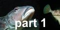 browse part 1