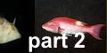 browse part 2