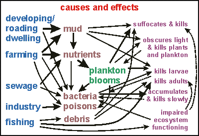causes and effects of pollution