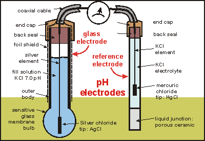 schematic pH electrodes