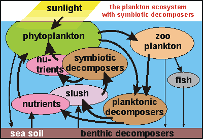 ecosystem with symbiotic decomposers