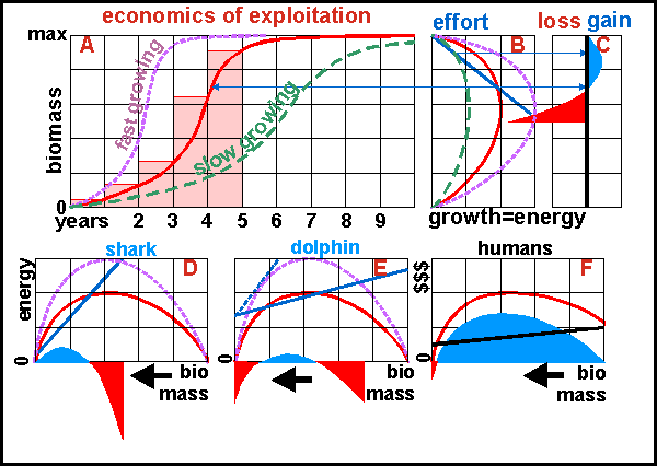 economies of exploitation