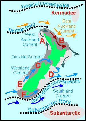 Provinces and currents of NZ