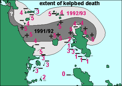 Extent of the kelpbed death