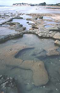 Barren rock pools at Long Bay