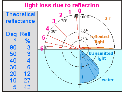light reflection and absorption