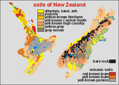 NZ soils