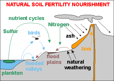Various nutrient sources