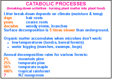 catabolic processes