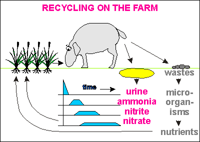 Recycling on the farm