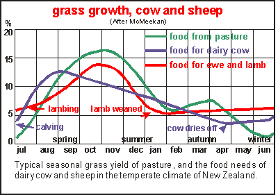 grass growth in NZ