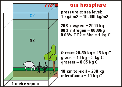 what the biosphere contains