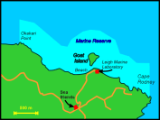 Goat Island Reserve