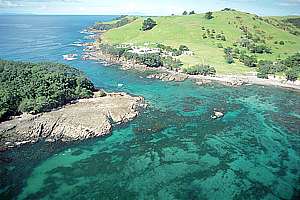 aerial view of Goat Island marine reserve
