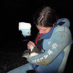 f015323: girl shows white side of blue penguin flipper