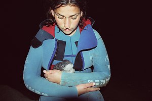 f015330: girl cradles blue penguin chick