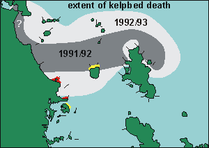 extent of kelpbed death 1993, map
