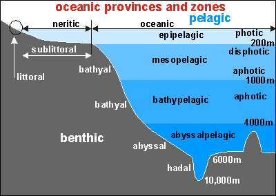 Oceanic provinces and zones