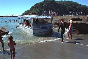 the small glassbottom boat