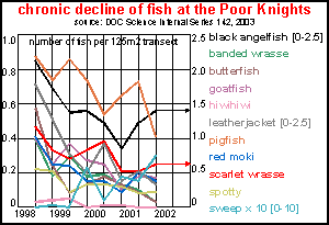 decline in fish at the Poor Knights