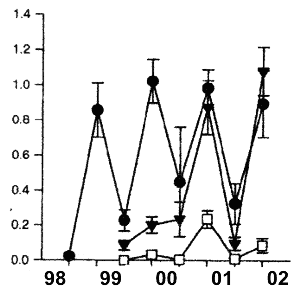 Visual counts of snapper