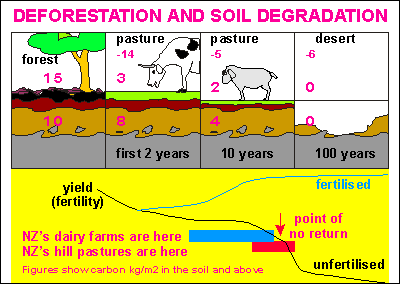 soil degradation diagram deforestation land where ecology nz most before production soils cycles principles marine gif table seafriends