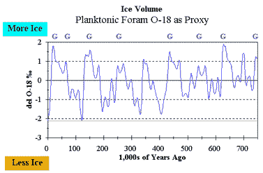 planktonic foraminifers showing variations in temperature
