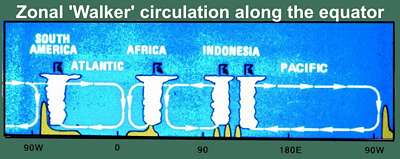 equatorial circulation