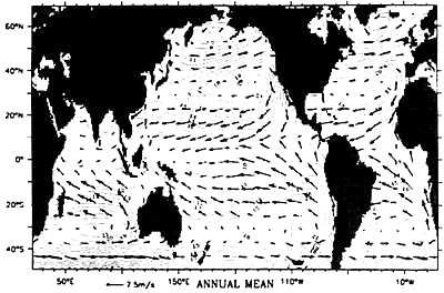 wind field globally