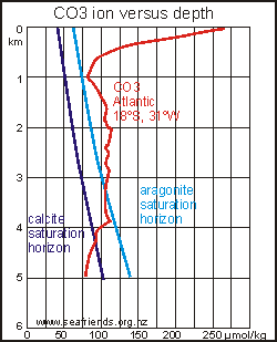 carbonate ion concentration versus depth