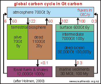 global carbon cycle diagram