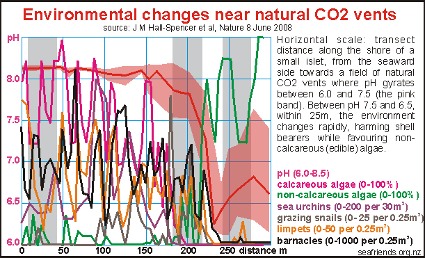 Environmental changes near CO2 vents