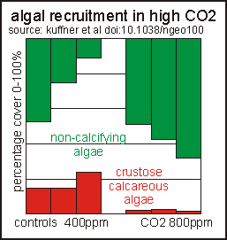 algal recruitment in rich CO2