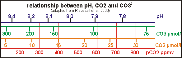 relationship between CO2, CO3 and pH