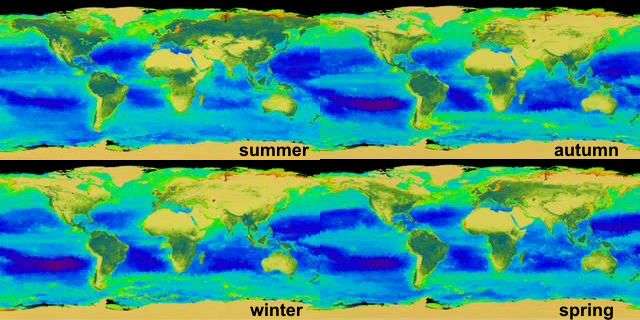 seasonal greening of Earth