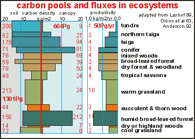 carbon_pools_biosphere