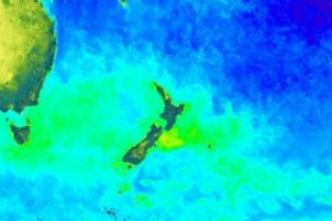 Chlorophyll concentrations around NZ