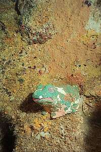 frog statue in Bernie's cave