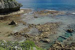 Amanau reef with rock pools