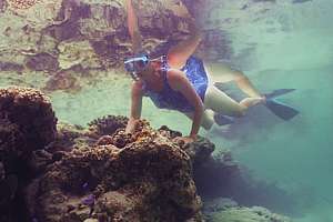 snorkelling in Opaahi reef pools