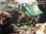 snorkeller meets fish in Limu Pools