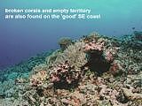 broken corals are also found in the SE coast of Niue