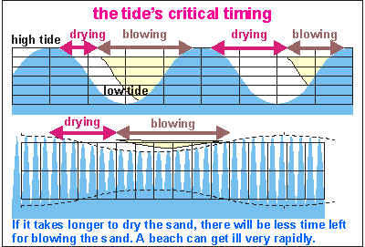 The tide's critical timing