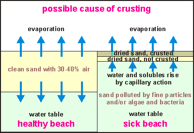 Possible cause of crusting