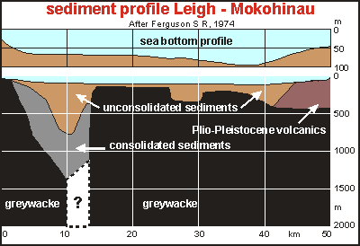 Cross section of sea bottom between Leigh and Mokohinau