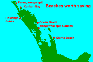 Beaches worth saving