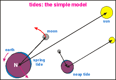 Tides: the simple model