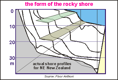 Actual shore profiles