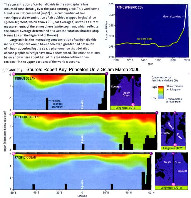 Ocean pH with depth