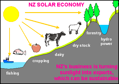 New Zealand's solar economy